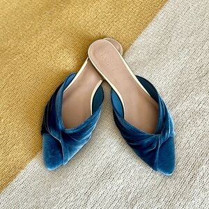 LOFT Mules blue velvet twist never worn  7 1/2